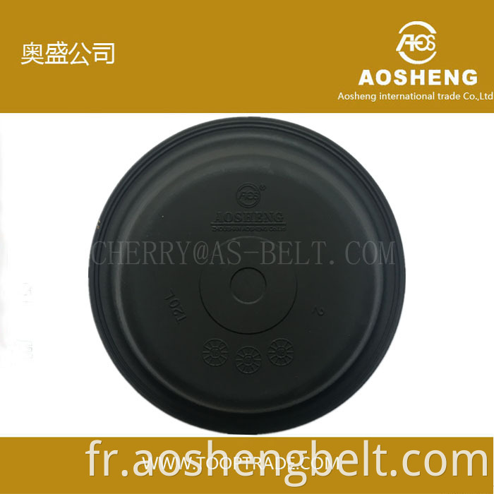 Diaphragme Aosheng T30L pour camion Renault fabriqué en Chine